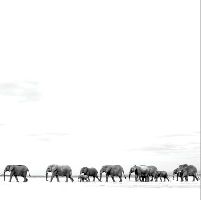 Dave Matthews Band - Where Are You Going: The Singles [2LP]1