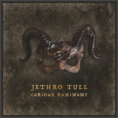 Jethro Tull - Curious Ruminant [LP]1