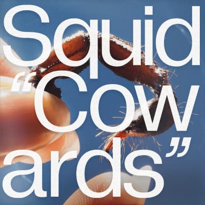 Squid - Cowards [LP] (Clear Vinyl)1