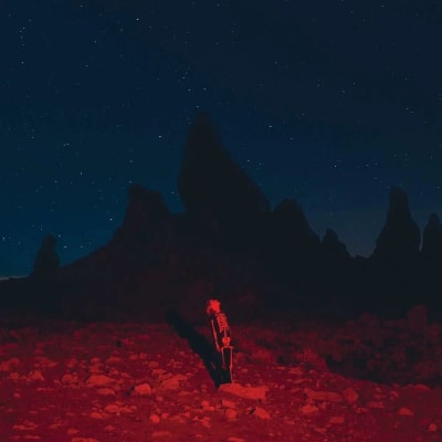 Phoebe Bridgers - Punisher [LP]1