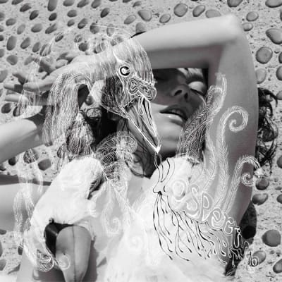 Björk - Vespertine [2LP] (HeavyWeight)1
