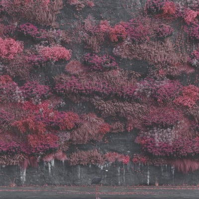 Sleep Token - Even In Arcadia [2LP] (Blended Lapis Lazuli Colored Vinyl, Insert, Limited, Indie Exc)1