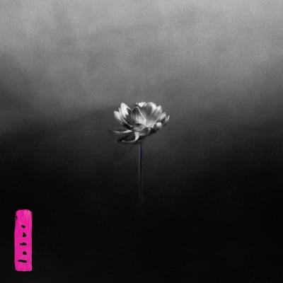 Little Simz - Lotus [2LP]