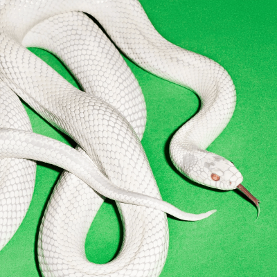 Deftones - Private Music [CD]1