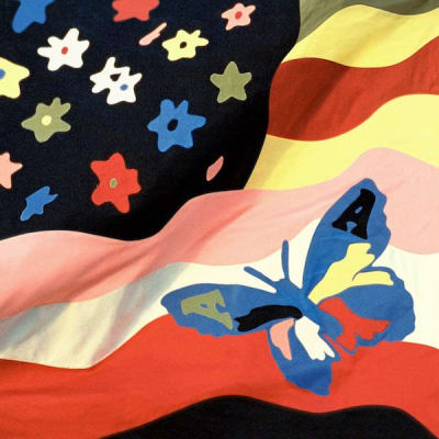 The Avalanches - Wildflower [2LP+CD]1