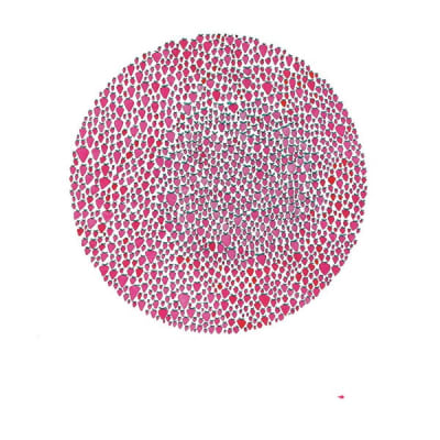 Julia Brown - An Abundance Of Strawberries [LP]1