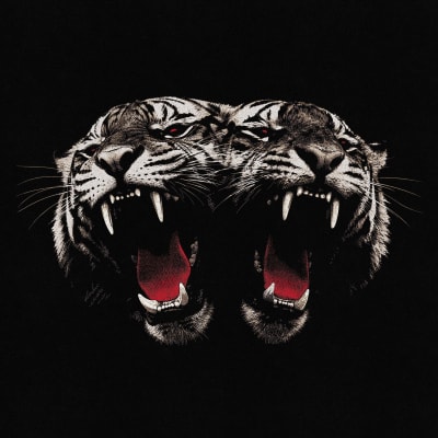 Royal Blood - Dead Company [LP]1