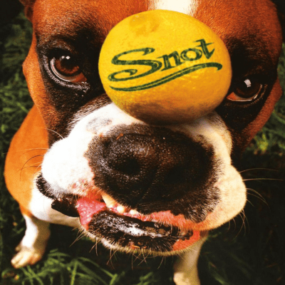 Snot - Get Some [LP] (20th Anniversary)1