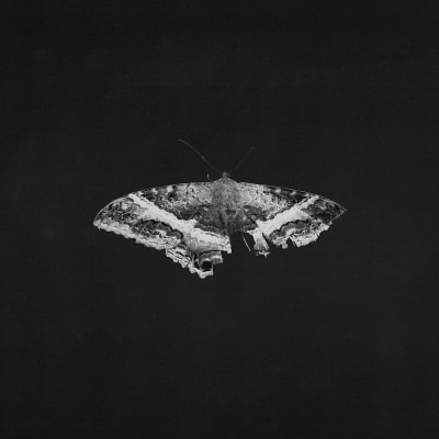 Kendrick Lamar - To Pimp A Butterfly [2LP] (10th Ann)2