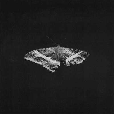 Kendrick Lamar - To Pimp A Butterfly [2LP] (Metallic Blends Vinyl, 10th Ann)1