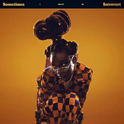 Little Simz - Sometimes I Might Be Introvert [2LP] (White/Clear Vinyl, Gatefold)1