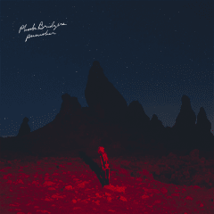 Phoebe Bridgers - Punisher [LP]