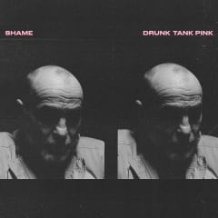 Shame - Drunk Tank Pink [LP]