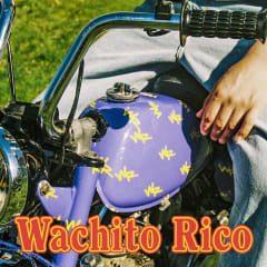 Boy Pablo - Wachito Rico [LP] (Purple Vinyl)