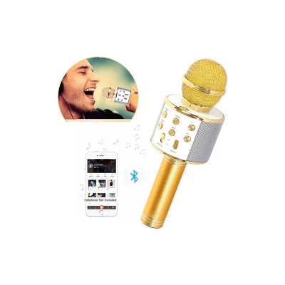 Microfono Parlante Karaoke Inalambrico3