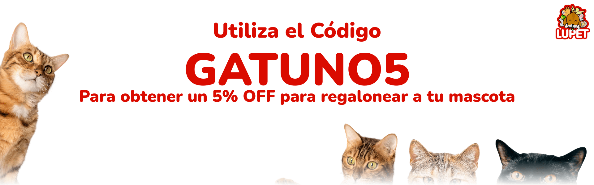 RINCONCITO GATUNO