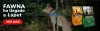 brand fawna