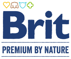 Brit