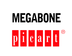 Megabone