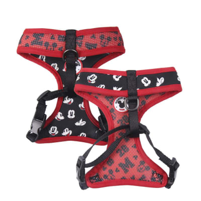 Arnes Perro Mickey Mouse1