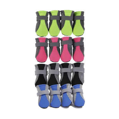 Zapato Para Perro Marben
