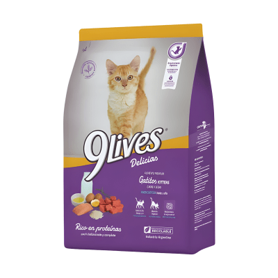 9 Lives Cat Kitten1