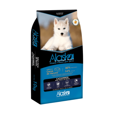 Alaska Cachorro1