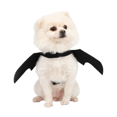 Alas de Murciélago2