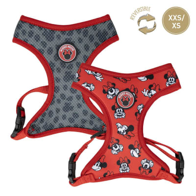 Arnes Perro Minnie Mouse