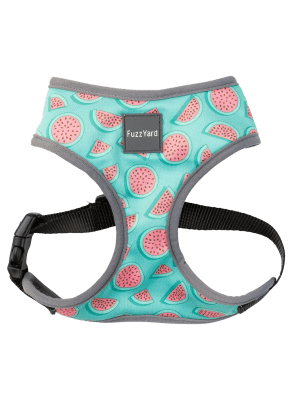 Harness Fuzzyard Summer Punch1