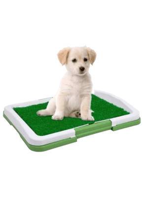 Baño Sanitario Puppy Potty Pad1