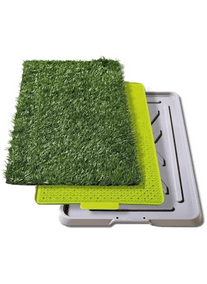 Baño Sanitario Grande Potty Pach