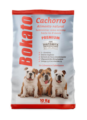 Bokato Cachorro