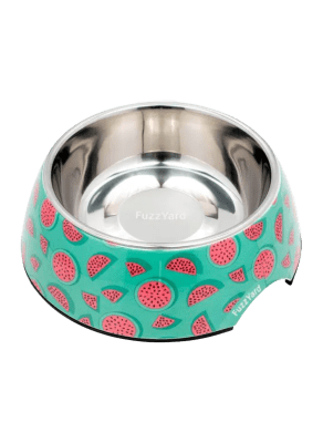 Bowl dog fuzzyard Summer Punch1