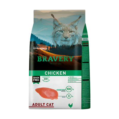 Bravery Cat Chicken Adulto