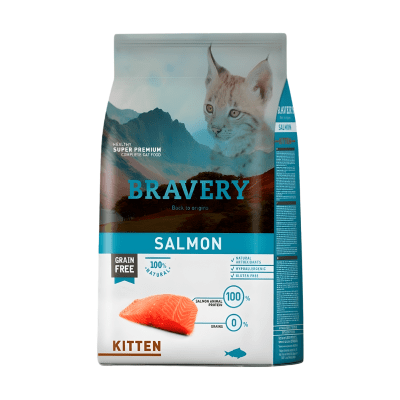 Bravery Cat Salmón Kitten1