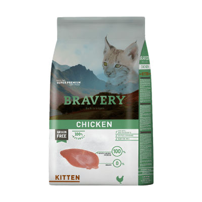 Bravery Cat Chicken Kitten