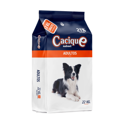 Cacique Adulto
