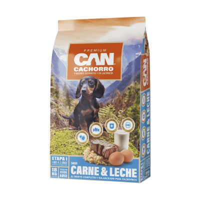 Can Cachorro