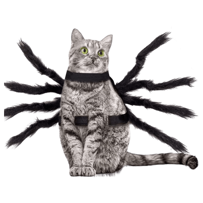 Capa Araña