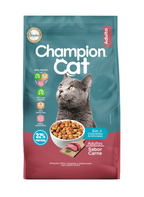 Champion Cat Carne