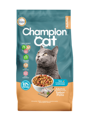 Champion Cat Pollo