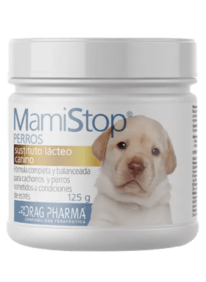 Mami Stop Perro