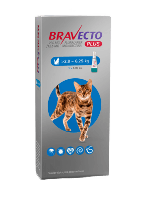 Bravecto Plus Gato