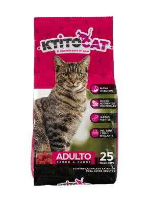 KTITO CAT
