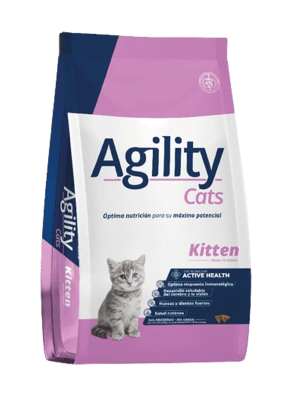 Agility Gato Kitten