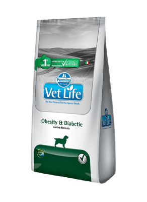 Vet Life Dog Obesity1