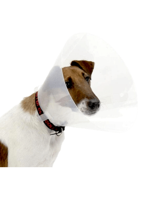 Cuello Isabelino 20
