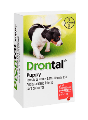 Drontal Puppy
