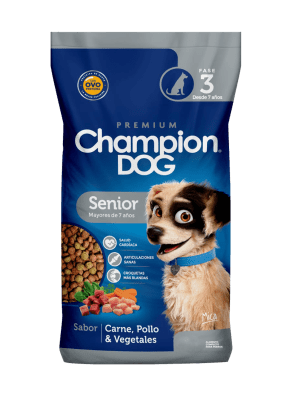 Champion Dog Senior